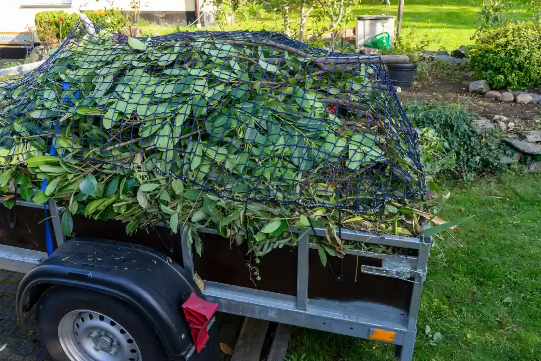 Why Proper Green Waste Disposal Is Critical Palm Springs, CA Why Proper Green Waste Disposal Is Critical Palm Springs, CA